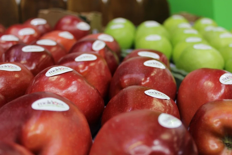 Несмотря на эмбарго, трейдеры находят лазейки для поставок яблока из Молдовы в РФ. Фото:agroexpert.md.
