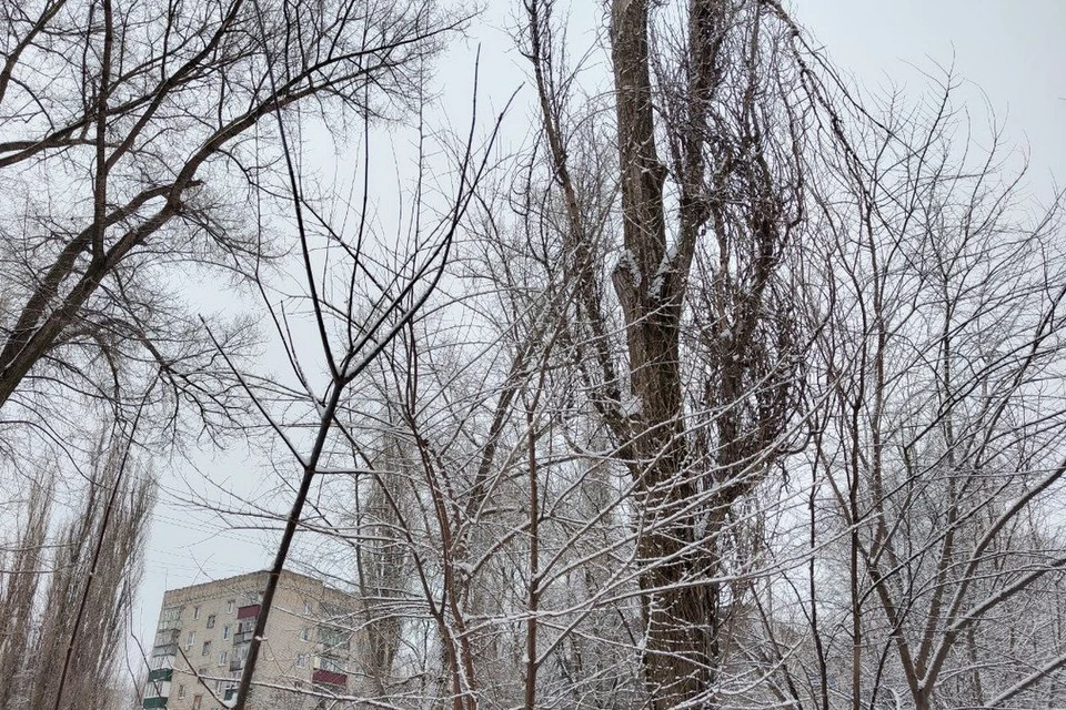В Липецкой области обещают облачную с прояснениями погоду