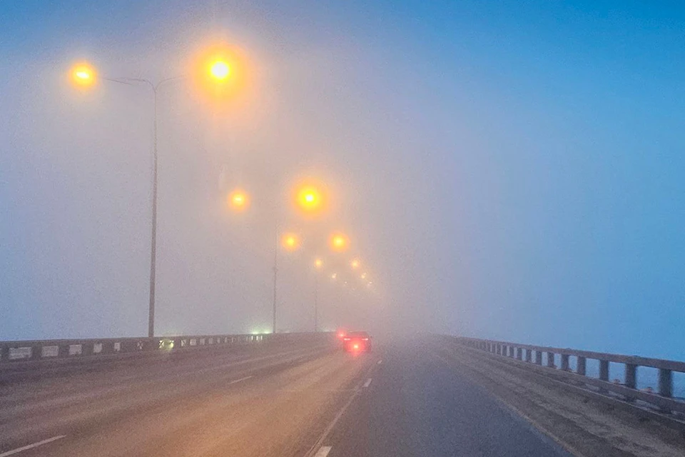 Плотный туман накрыл дамбу в Петербурге 30 января. Фото: t.me/dambaspb