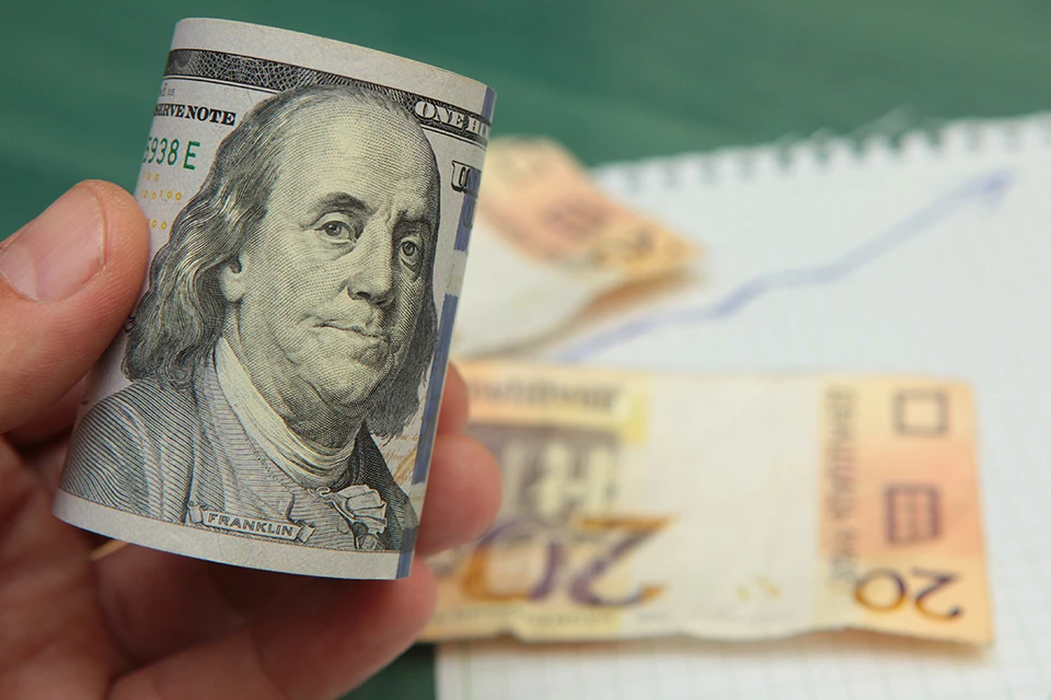 Нацбанк Беларуси снизил курс доллара и курс евро на 31 января 2024 года.