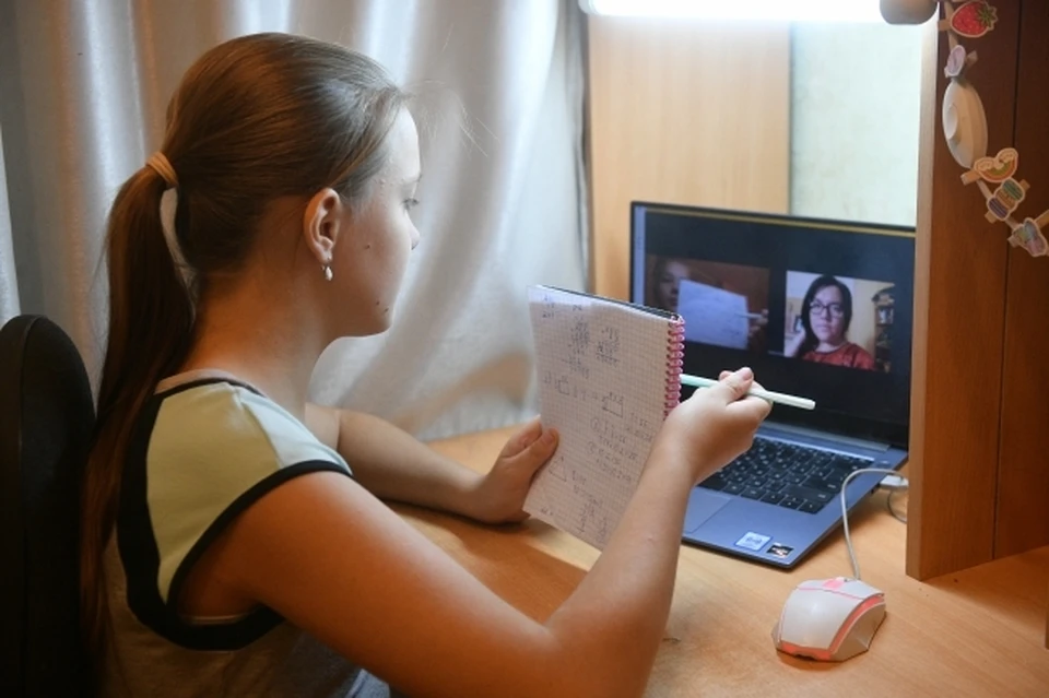 Россияне стали в несколько раз чаще пользоваться отечественными сервисами для видеоконференций