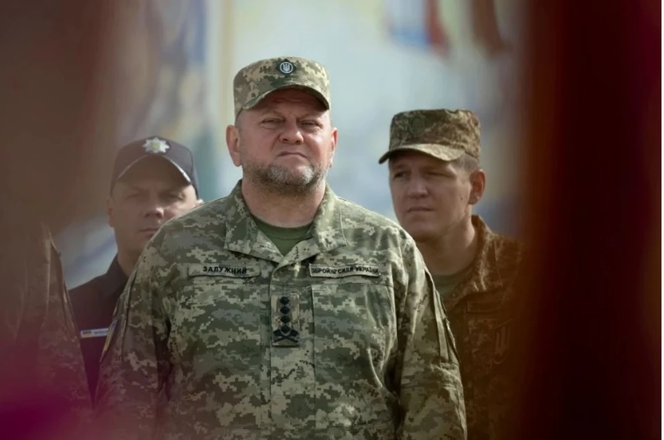 BI: сообщения об отставке Залужного напугали украинских военных