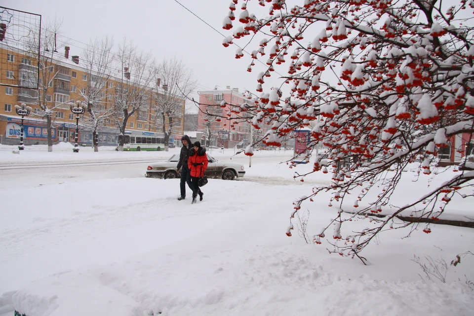 Погода в Алтайском крае 2 февраля 2024