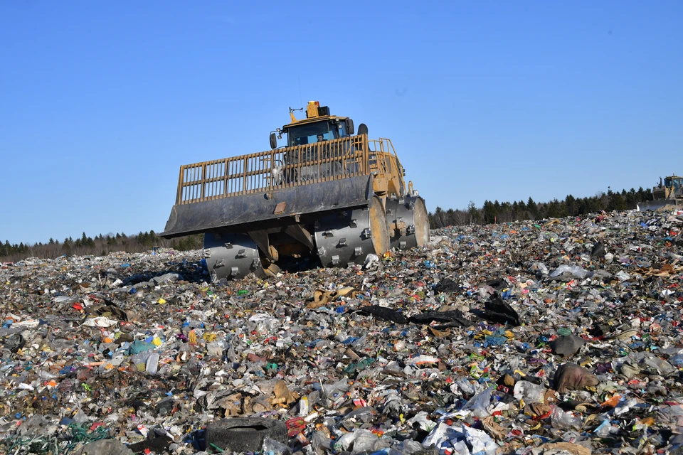 Бастрыкин потребовал разобраться с опасными мусорными полигонами в Новосибирске.