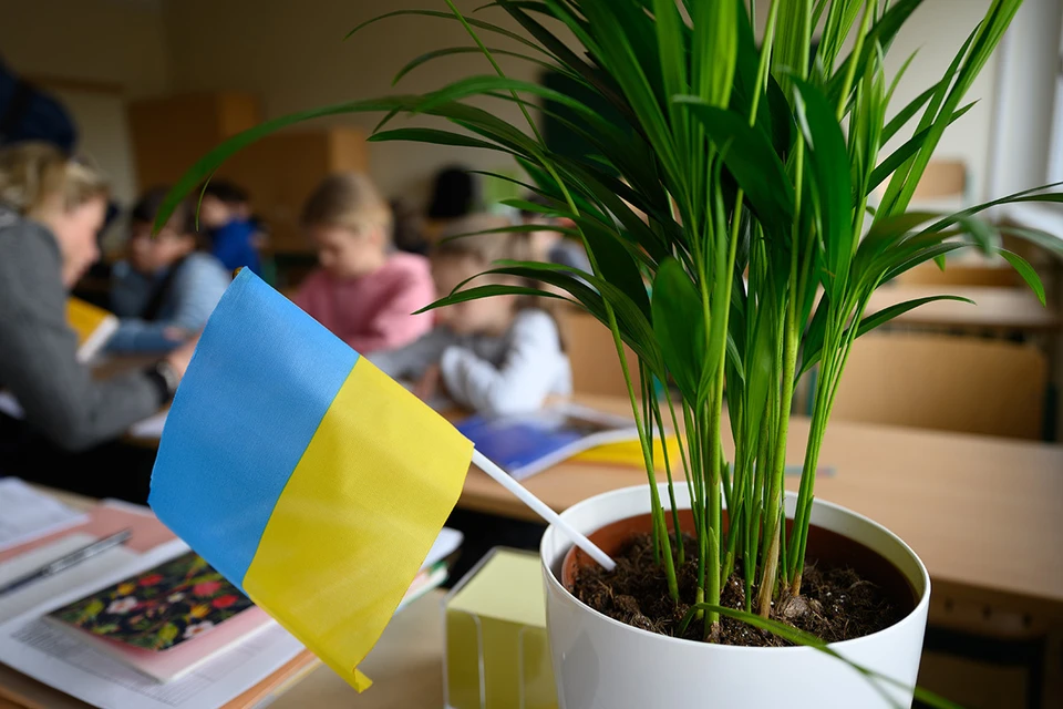 В 2023 году на Украине закончили обучение только около 360 тысяч школьников.