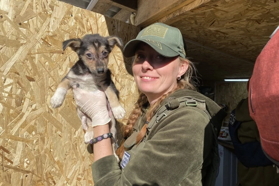 За два года Анастасия Козич 34 раза выезжала в новые территории - помогать животным. Фото: группа ВК "Фонд следы человека: помощь животным".