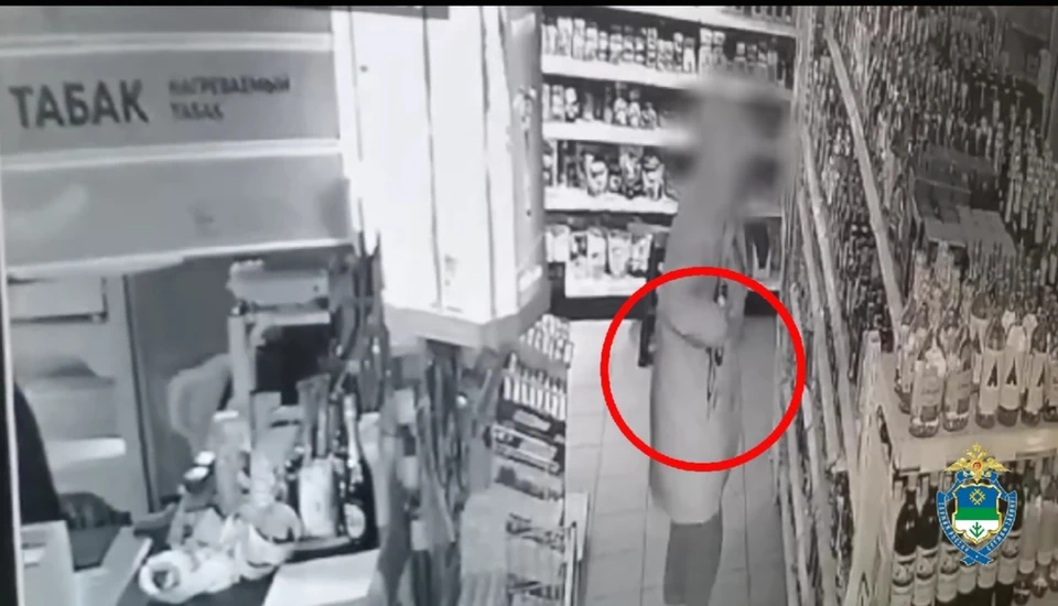 Жителя Печоры задержали при попытке кражи алкоголя из магазина. Фото: МВД по РК.