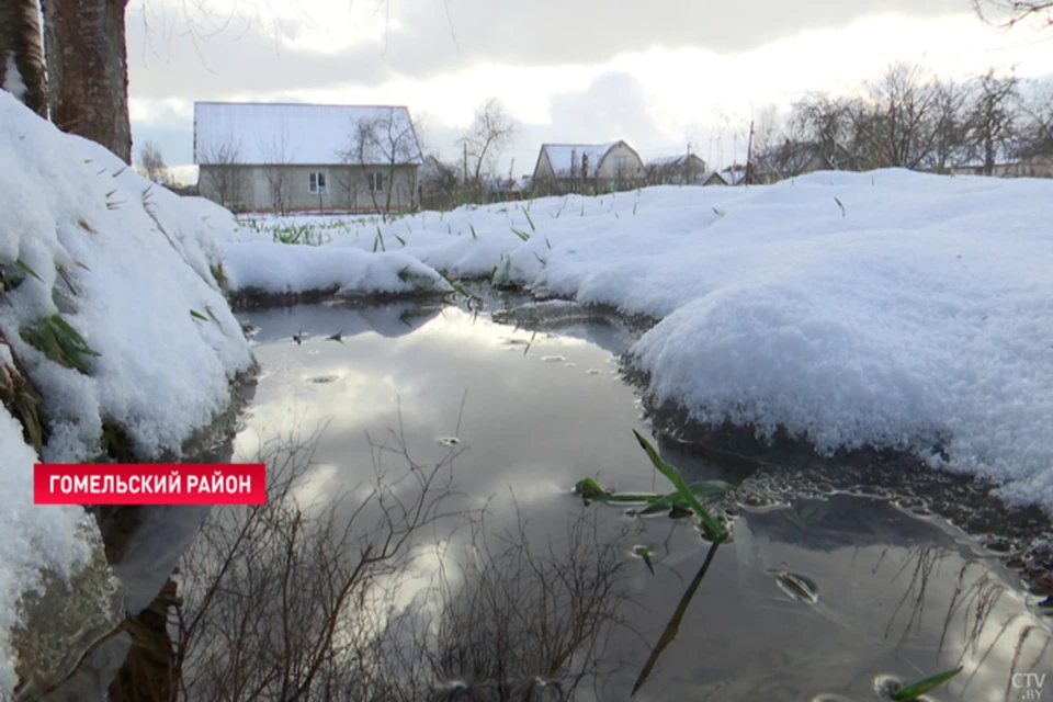 Более 70 жилых домов подтопило в Гомельской области из-за паводка. Фото: ctv.by