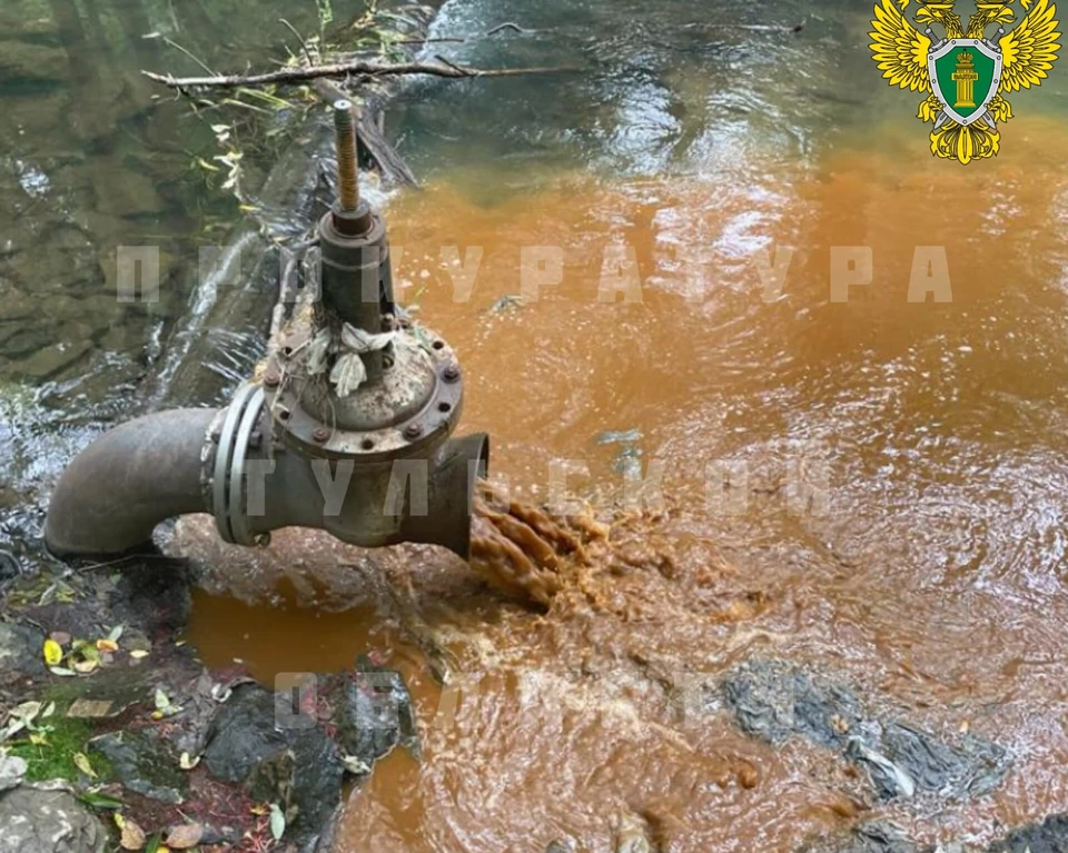 В Алексине Тульской области муниципальное предприятие водоканала нарушало местную экологию