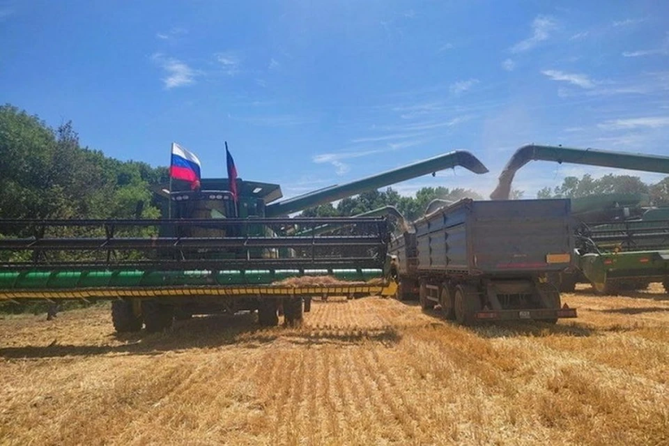 Правительство РФ выделит деньги для сельхозпроизводителей Донбасса и Новороссии. Фото: Минагропром ДНР