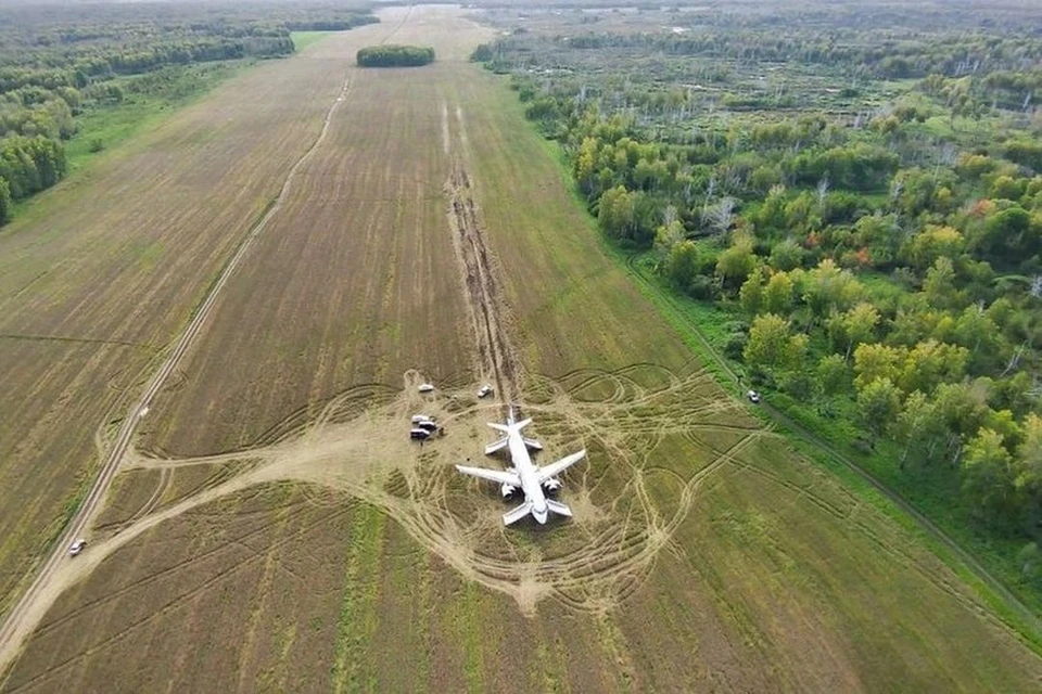 Стало известно, что сейчас с самолетом, севшим в новосибирском поле. Фото: предоставлено пресс-службой «Уральских авиалиний».