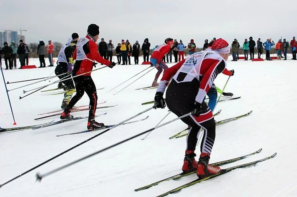 10 февраля в Твери состоится областной этап Всероссийской массовой лыжной гонки «Лыжня России – 2024».