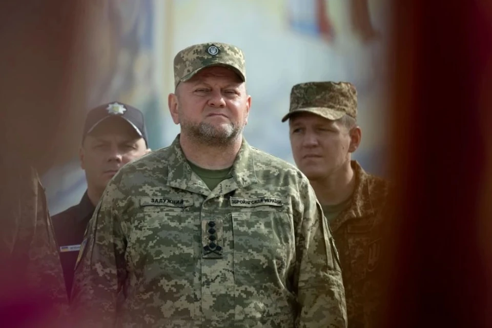 Генерал Крашевский: отставка Залужного ударит по боевому духу солдат ВСУ