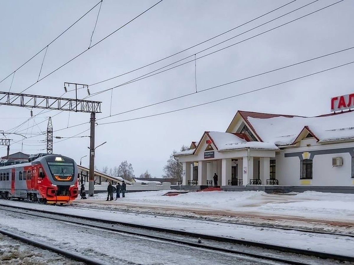 В Костроме зрители и участники «Галичского Заозёрья» бронируют билеты на  «Орлан» - KP.RU