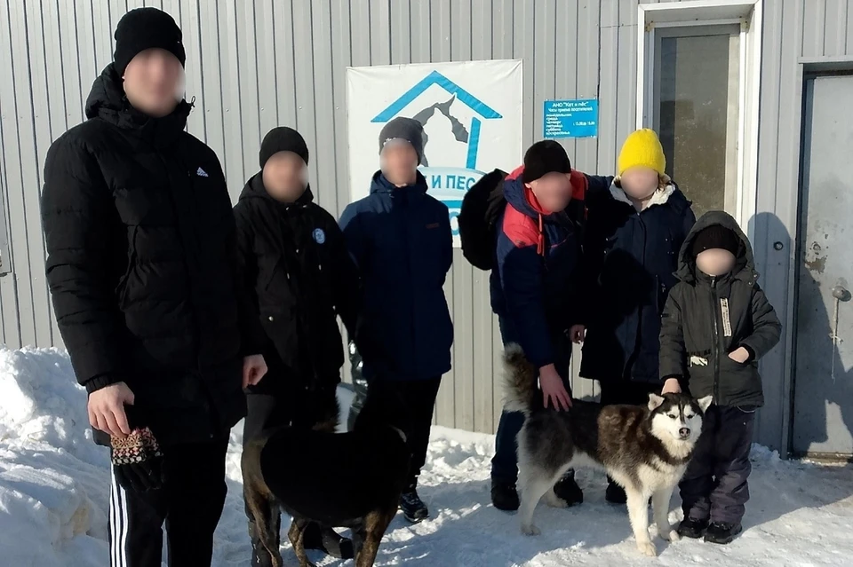 Димитровградские осужденные расчистили от снега территорию приюта для бездомных животных. ФОТО: УФСИН УО