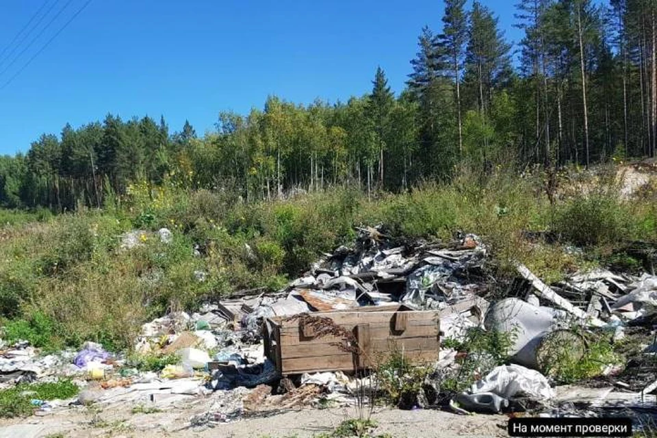 Благодаря прокурорскому вмешательству свалки уничтожены. Фото: прокуратура Иркутской области.