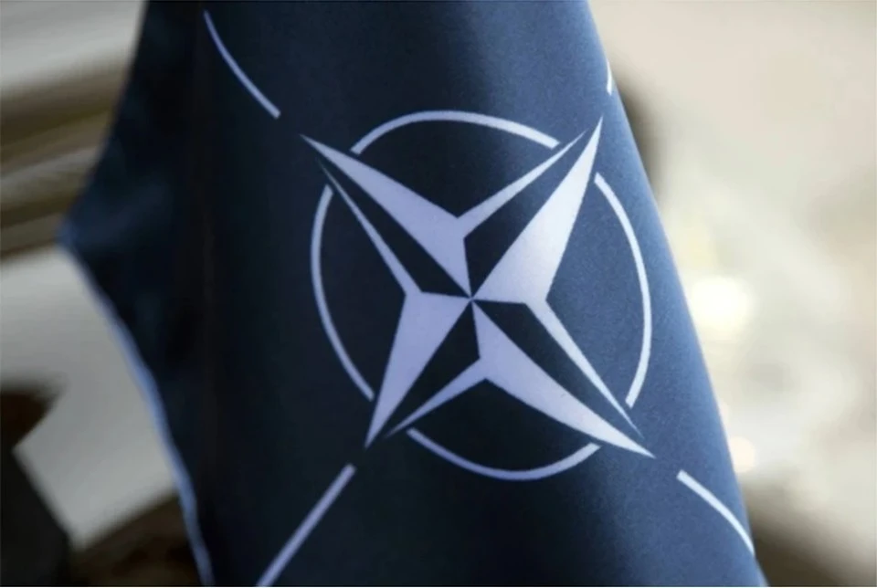 Экс-сотрудник ЦРУ Макговерн: НАТО распадется при завершении конфликта на Украине