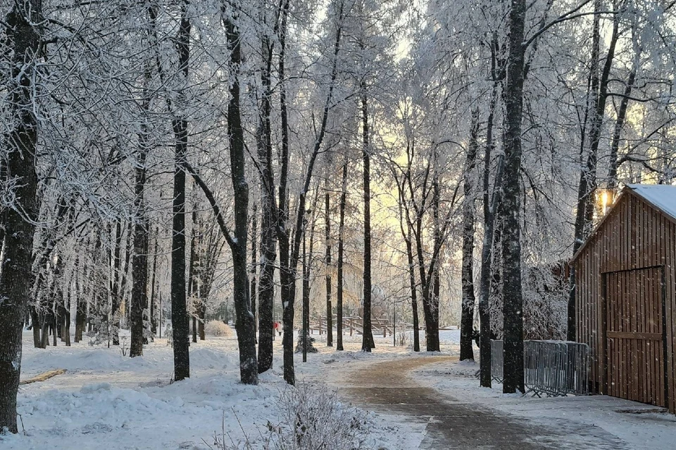 Первый снег год