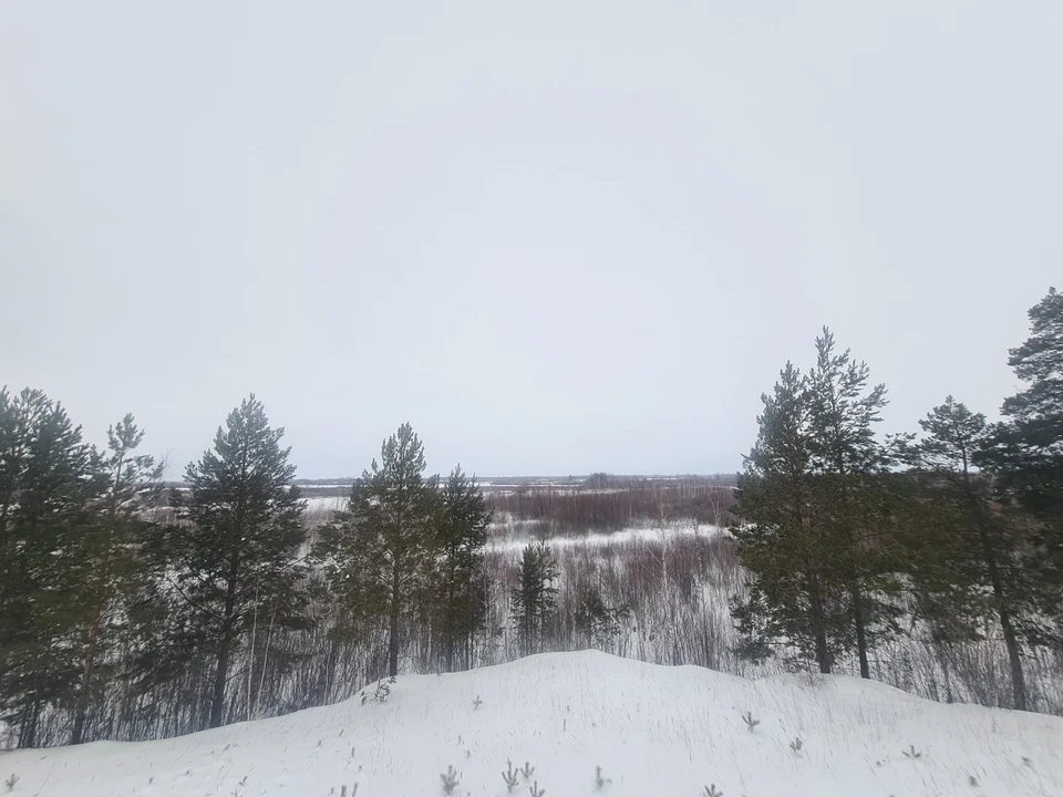 В Тюменской области 18 февраля потеплеет до -13 градусов