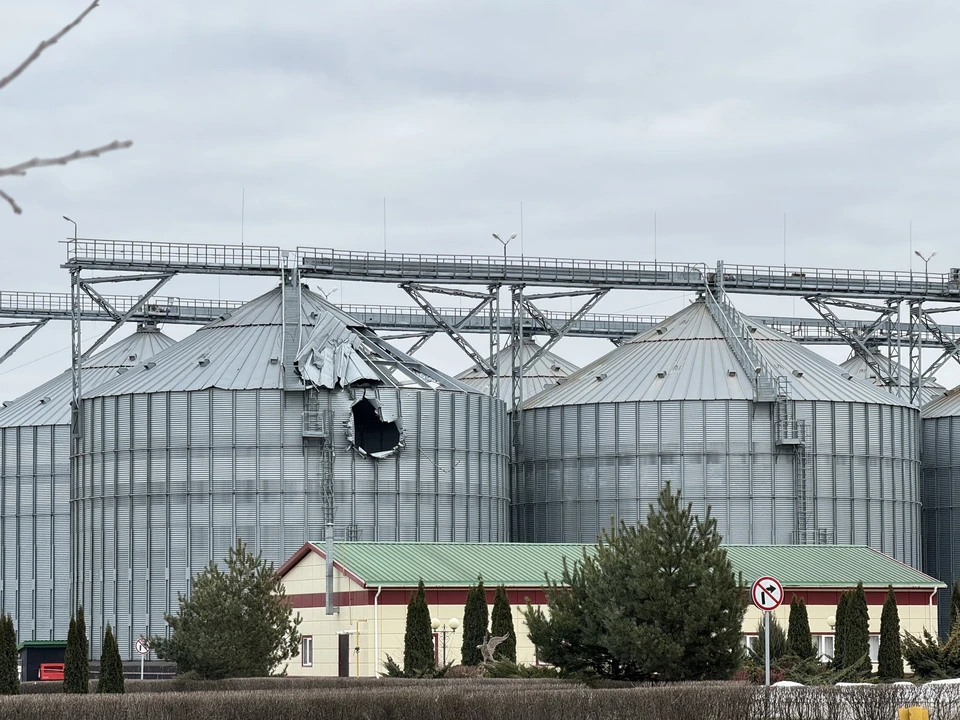 В Белгородской области продолжают выплачивать субсидии бизнесу, который пострадал от обстрелов ВСУ