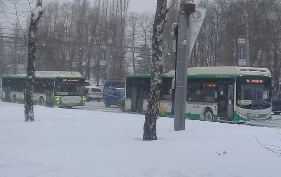 24 и 25 февраля автобусы вернутся к обычному расписанию.