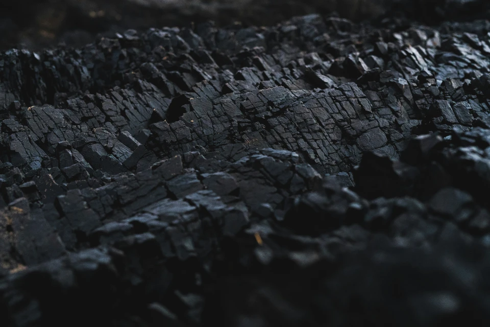 Фото - Unsplash.com