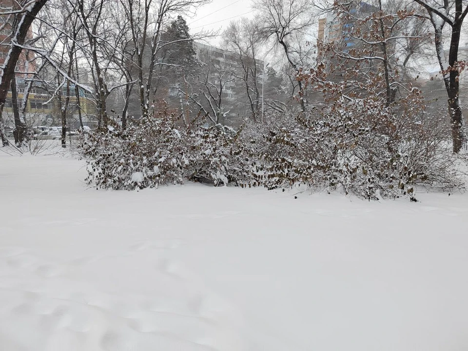 Сильно похолодает в горах Хабаровского края