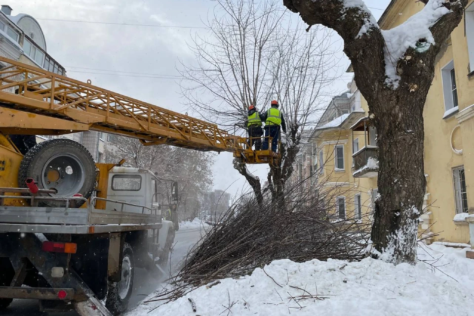 80 кубов порубочных остатков вывезли из города. Фото: t.me/green_vyatka
