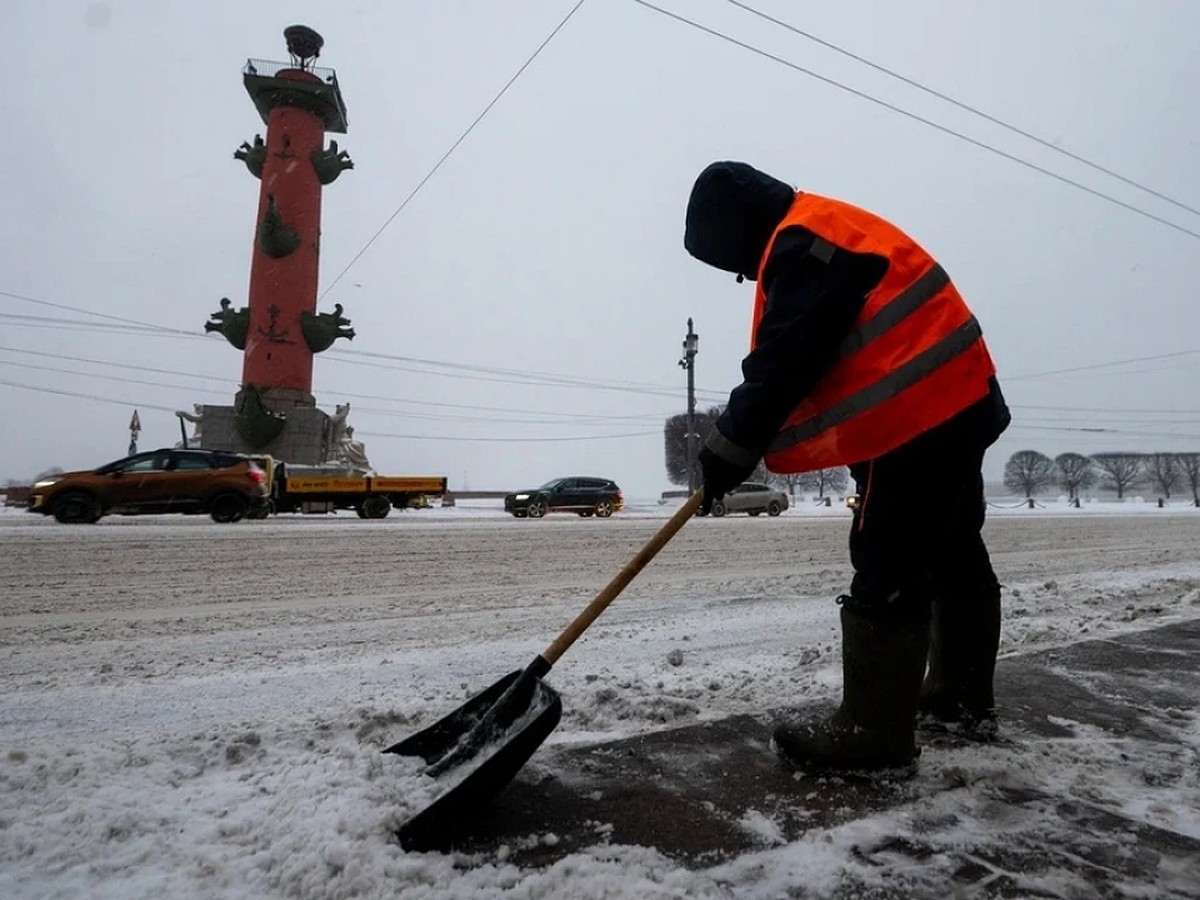 За вежливость и эталонную чистоту»: Жители двора на севере Петербурга  трогательно поздравили дворника с днем рождения - KP.RU