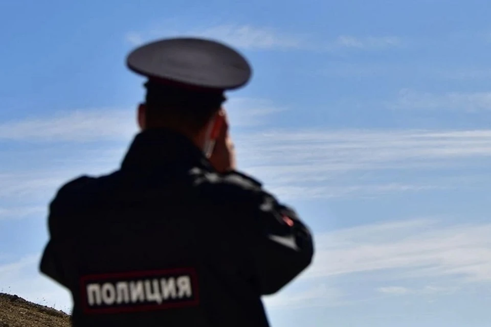 Официальных комментариев по ситуации от властей или Минобороны России пока не поступало