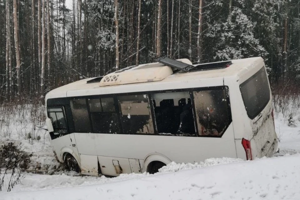 Жительницы Ярославля получили компенсацию от перевозчика после ДТП с автобусом