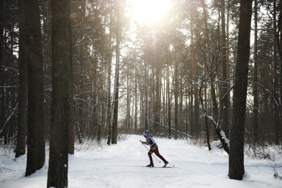 Нижегородское минспорта ответило на жалобу лыжницы Кулешовой.