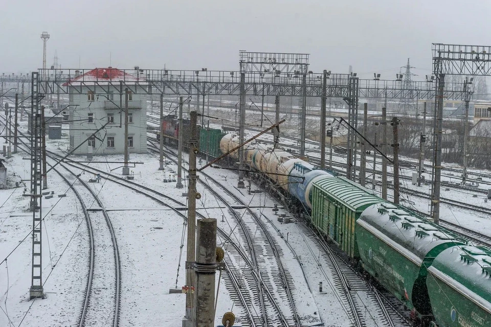 Пенсионер погиб под колесами грузового поезда в Ленобласти.