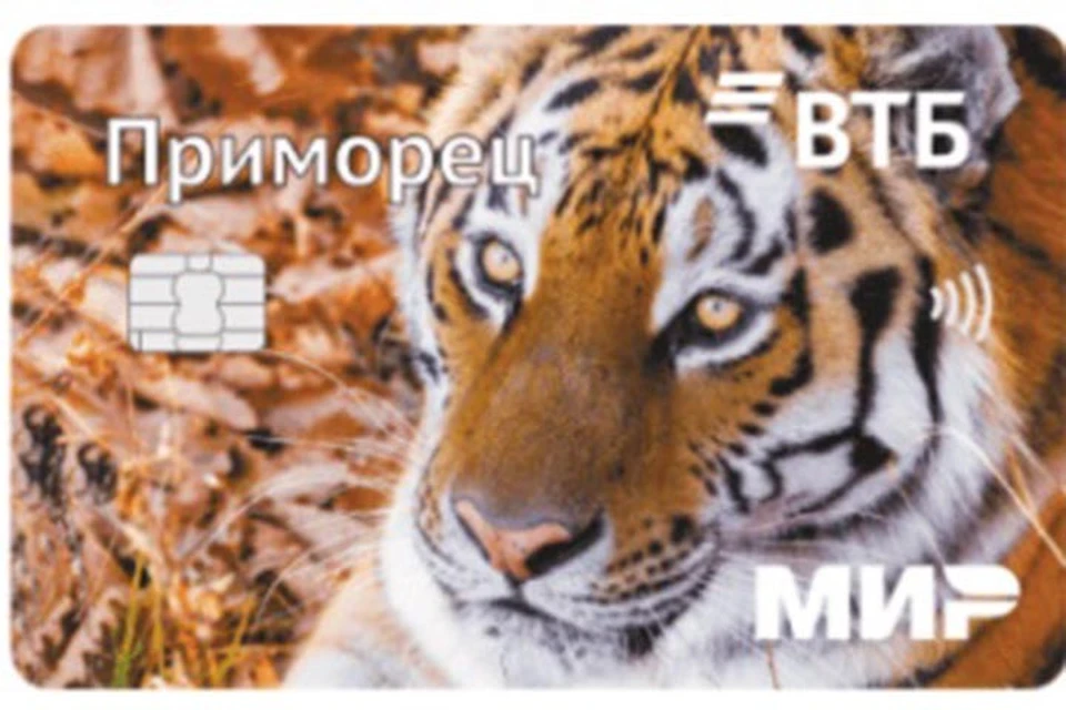 Фото: пресс-служба ВТБ на Дальнем Востоке.