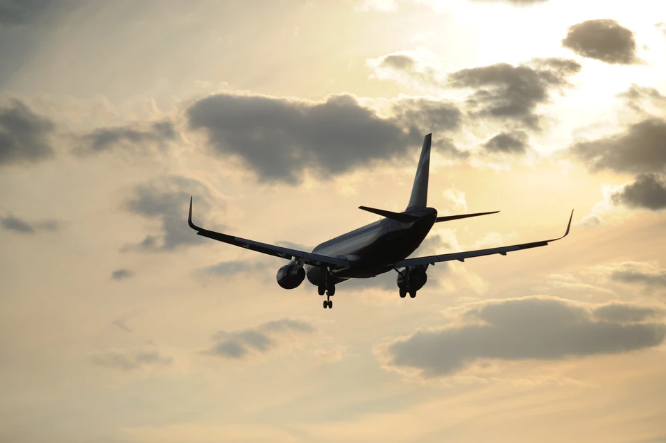 Авиаперевозчика Новосибирска оштрафовали на 30 тысяч рублей за невыдачу багажа.
