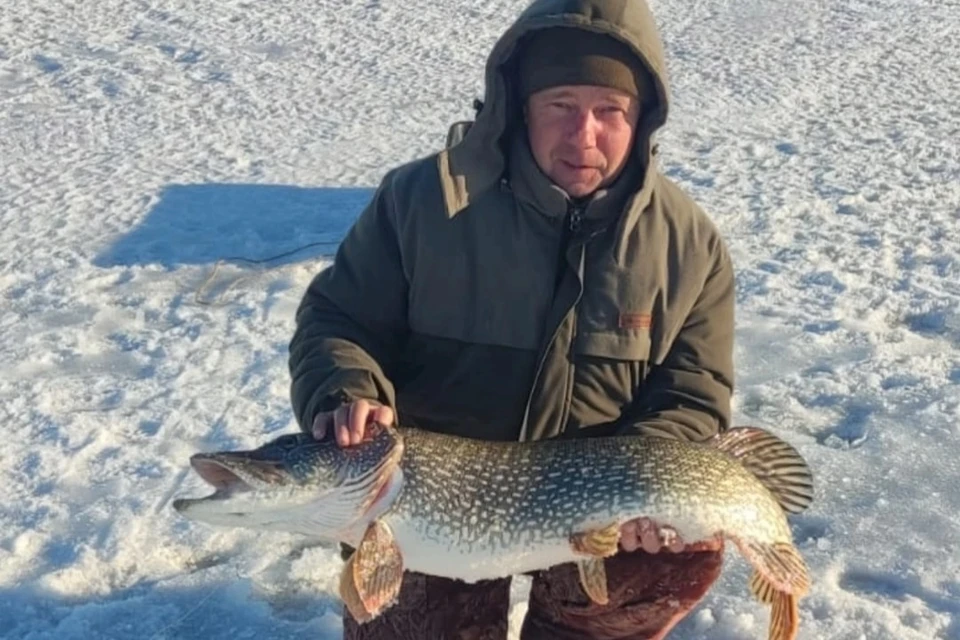 Сибиряк поймал такую громадину на озере Чаны. Фото: Предоставлено Сергеем Дубининым