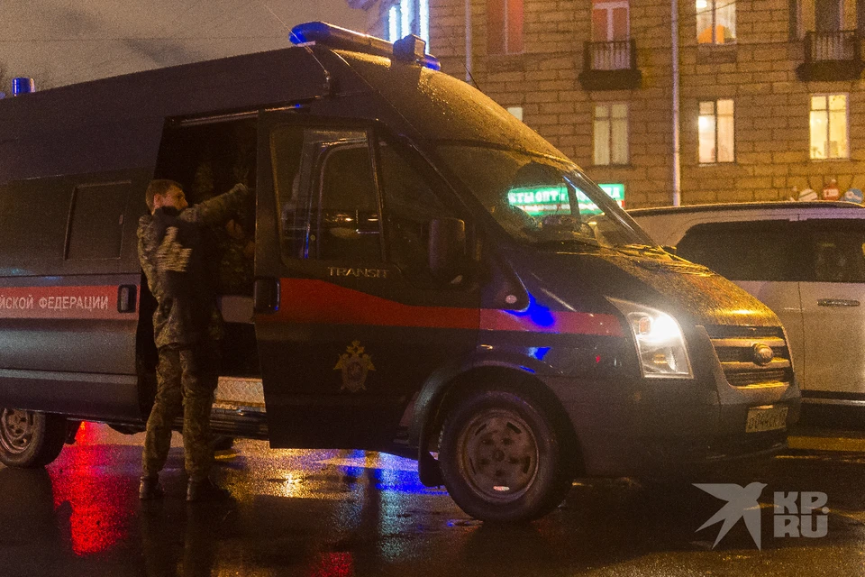Завершились поиски бесследно исчезнувшей в Рязани 15-летней Дианы.