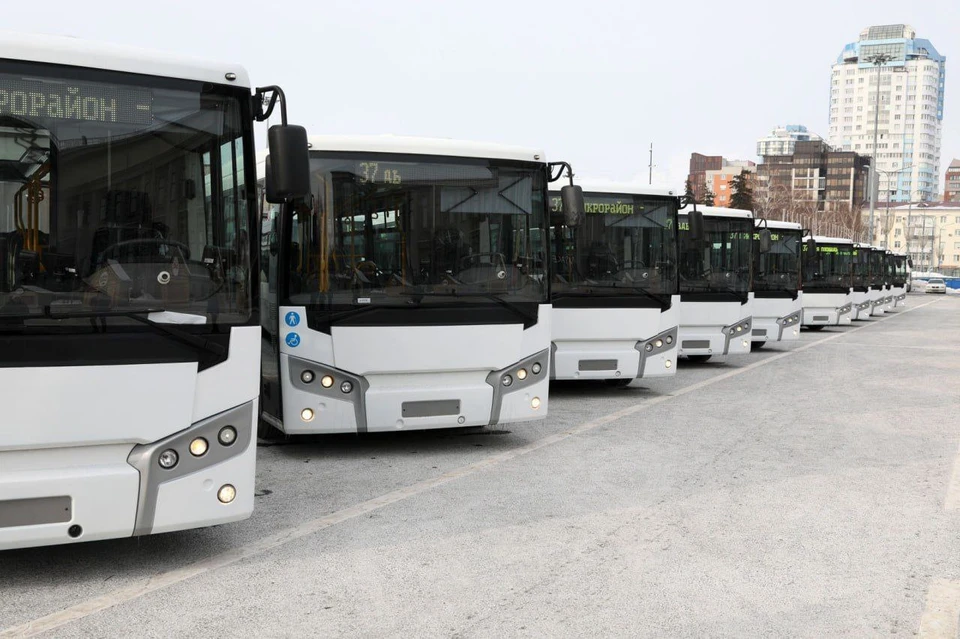 Новые автобусы прибыли в Самару из Самарканда. Фото: администрация Самары