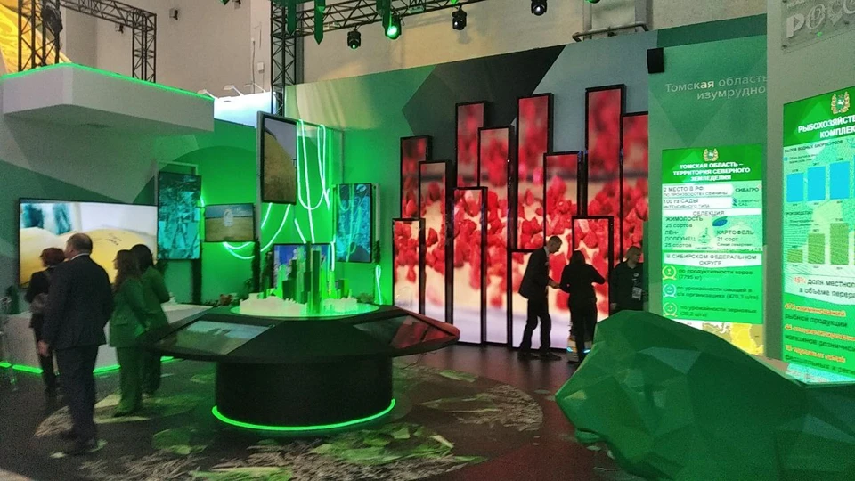 Мастер-классы и игры проводит ТГПУ