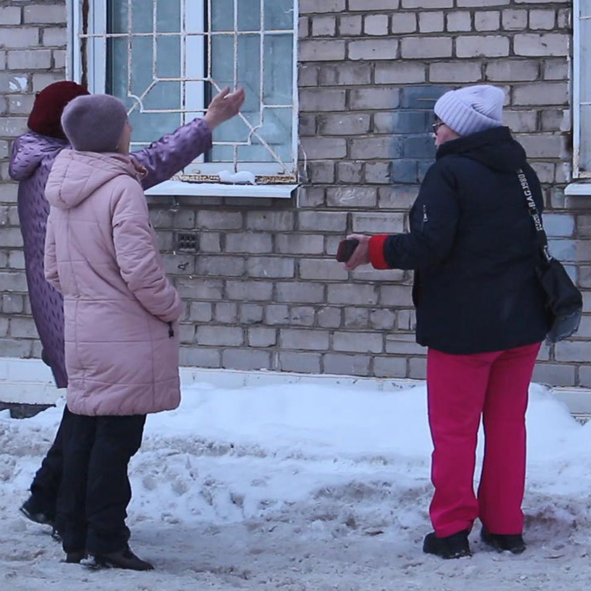 Замуровал собственную маму»: Жительница пермской пятиэтажки живет в  запертой на замок квартире с заклеенными окнами, а посреди комнаты стоит  железная миска, как у собаки - KP.RU