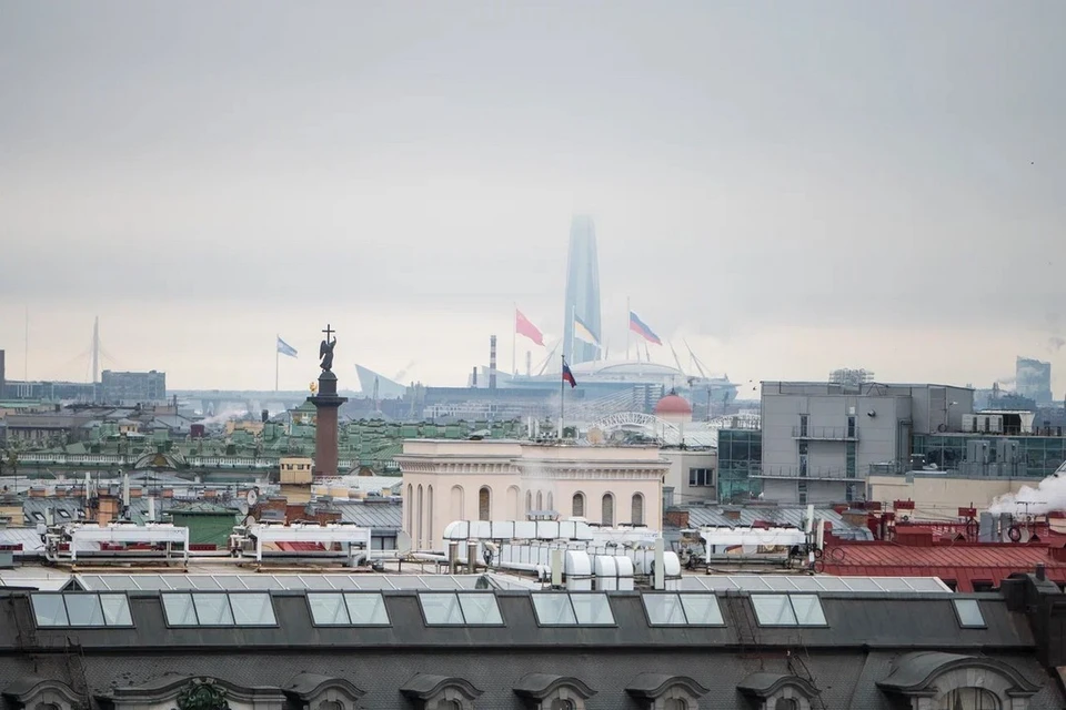День участников поискового движения отмечают в Петербурге 13 марта.