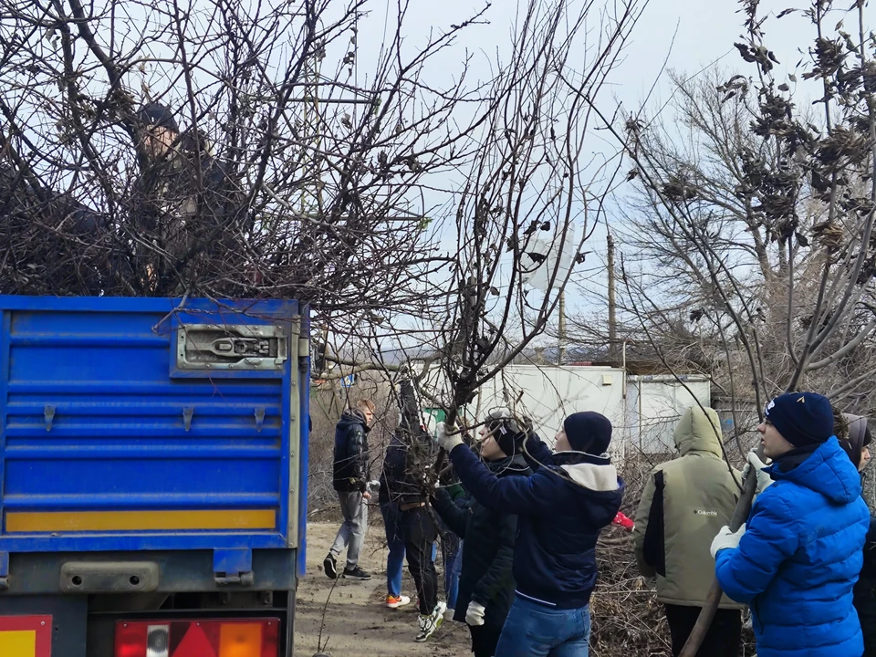 На уборке территории задействовали студенческие отряды