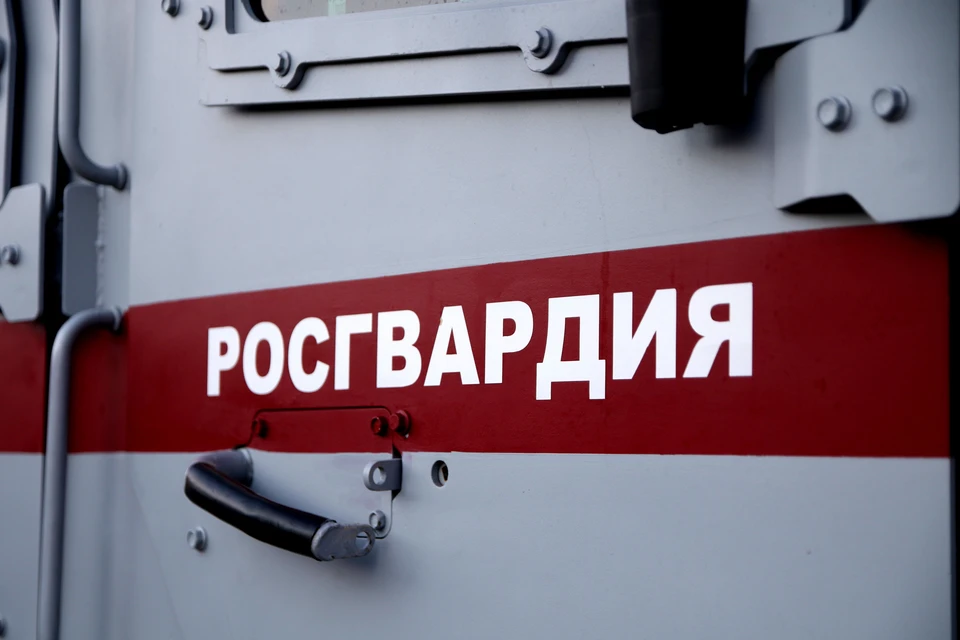 Росгвардия и ФСБ участвуют в отражении нападения украинских ДРГ под Курском