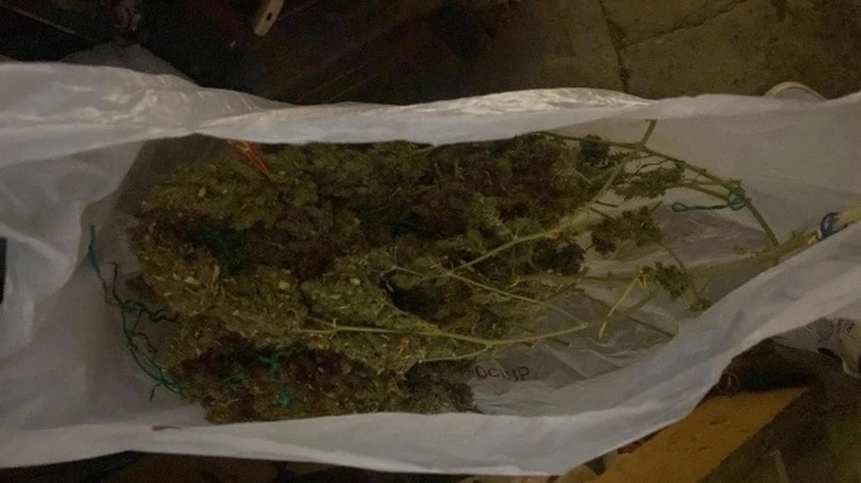 В ходе обыска полицейские обнаружили в подвале астраханца наркоферму