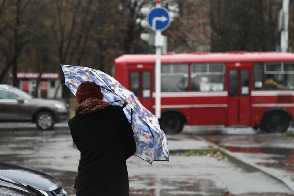 Суббота должна пройти без существенных осадков, в воскресенье и понедельник будут дожди