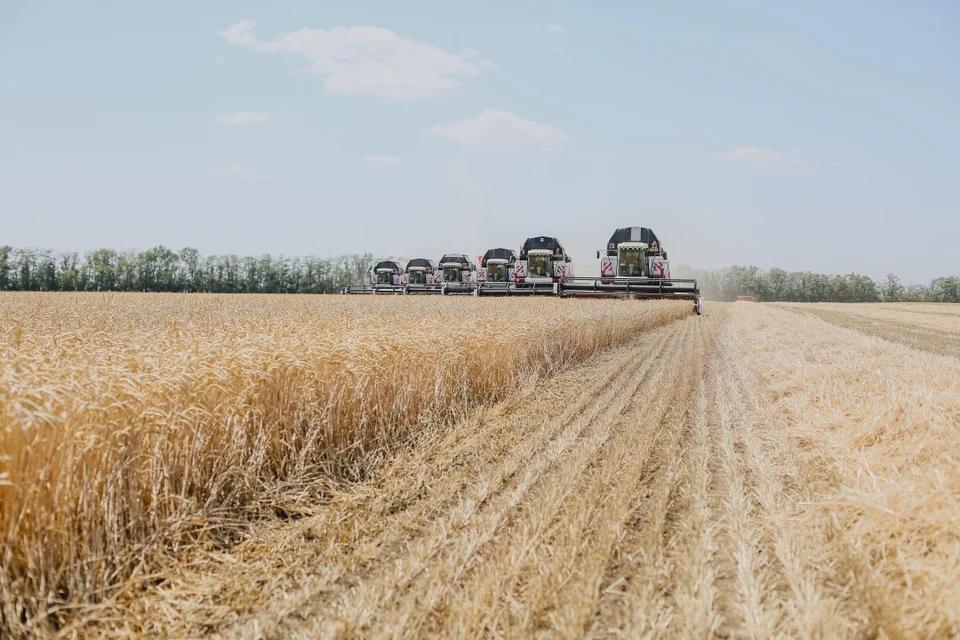 Россельхозбанк ежегодно поддерживает сельхозпроизводителей финансированием. Фото: rshb.ru