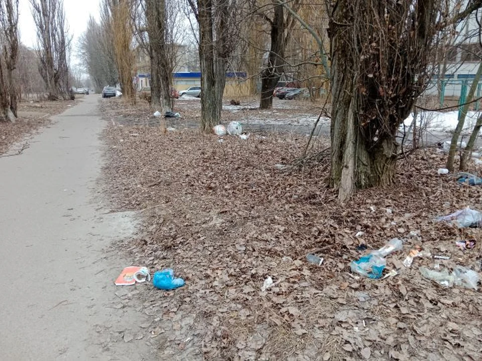 В Курск пришла весна