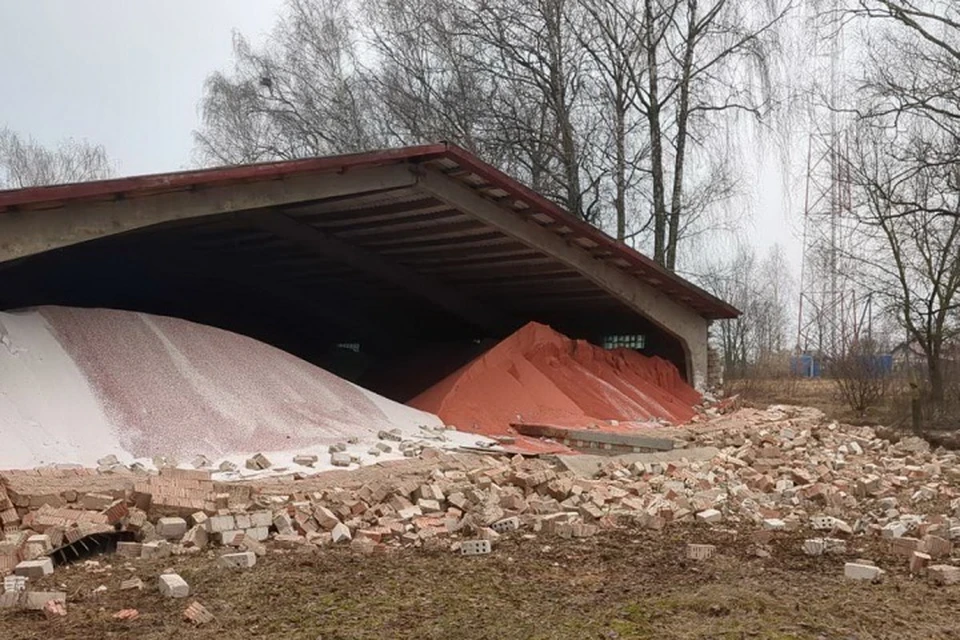 Под Кличевом в результате обрушения стены склада пострадала женщина. Фото: МЧС.