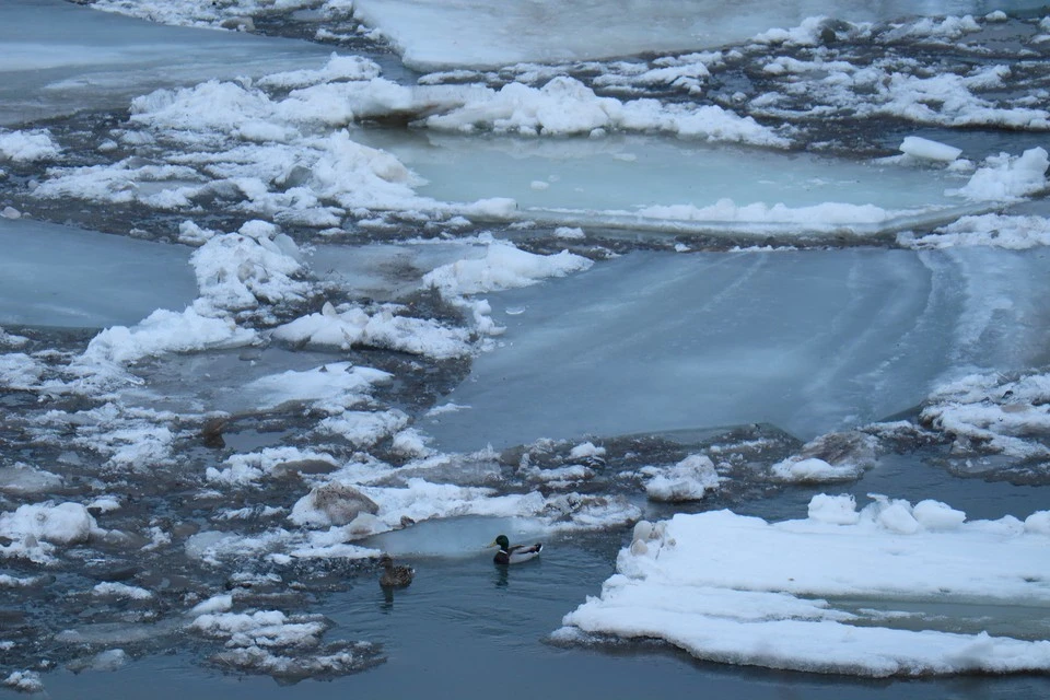 Фотограф провалился под лед и утонул