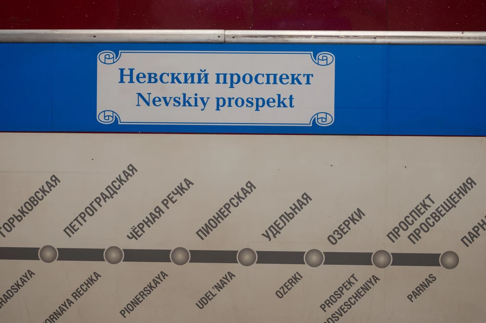 Движение поездов на синей ветке метро Петербурга возобновили спустя 20 минут.